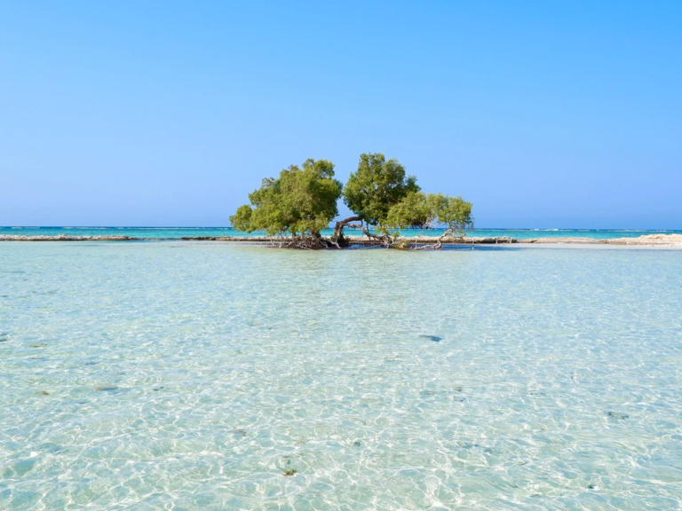 La réserve naturelle d’El Qulaan