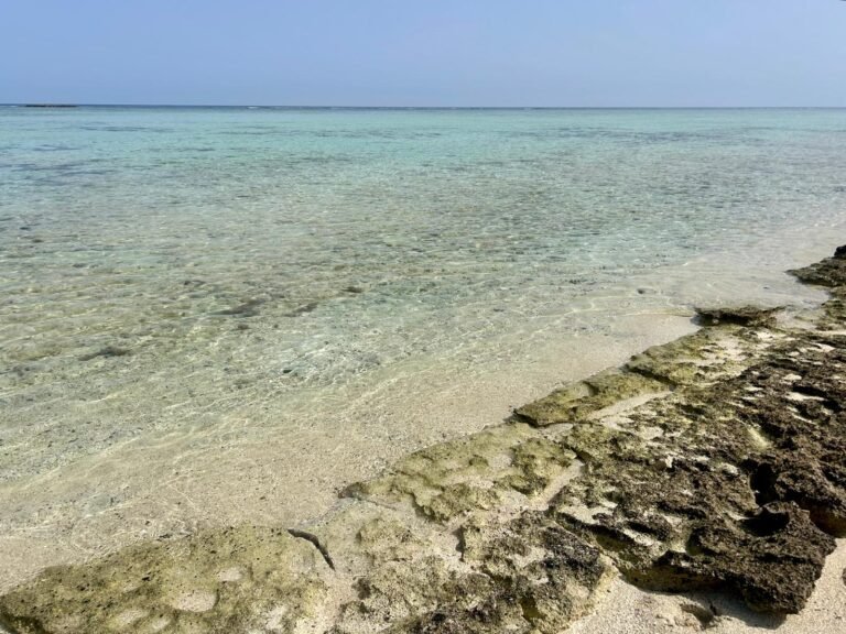 La réserve naturelle d’El Qulaan