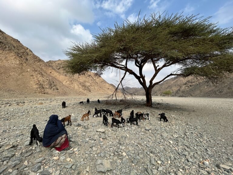 Parc National de Wadi El Gemal
