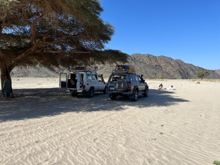 Parc National de Wadi El Gemal