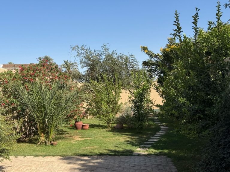Ecolodge El Beit