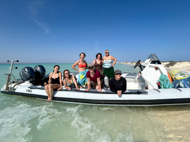 Wadi El Gemal (Speed-boat) 