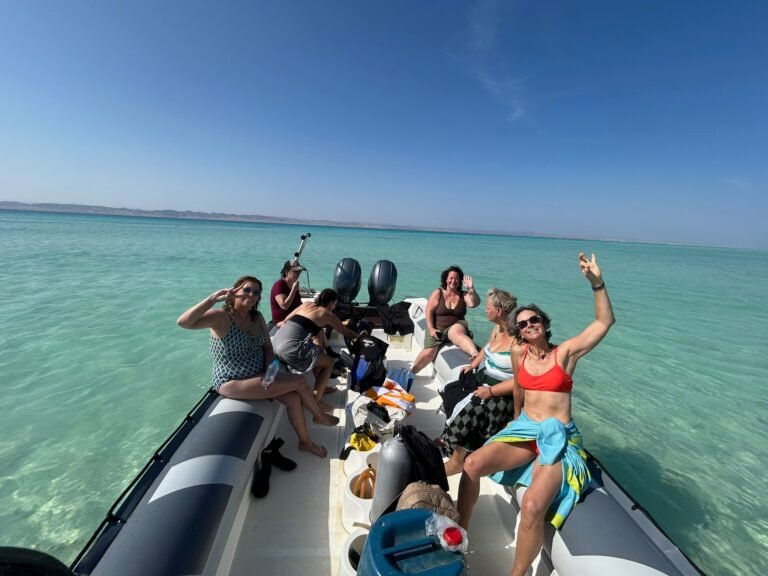 Wadi El Gemal (Speed-boat) 