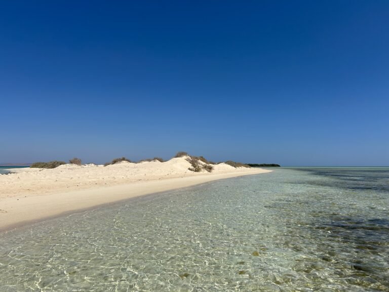 Wadi El Gemal (Speed-boat) 