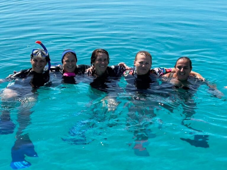 Wadi El Gemal (Speed-boat) 