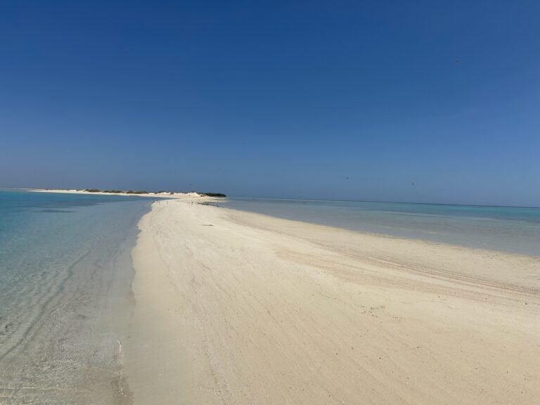 Wadi El Gemal (Speed-boat) 