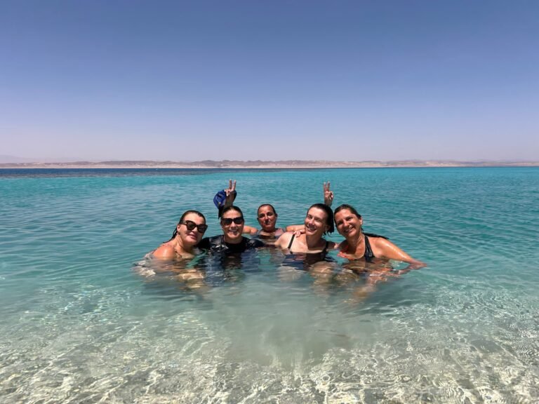 Wadi El Gemal (Speed-boat) 